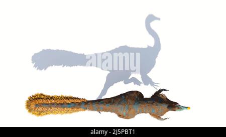 Gallimimus, gefiederter Theropoddinosaurier, der während der späten Kreidezeit lebte, isoliert auf weißem Hintergrund, Draufsicht mit leerem Raum Stockfoto