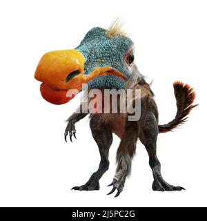 Gallimimus, gefiederter Theropoddinosaurier, der während der späten Kreidezeit lebte, isoliert auf weißem Hintergrund Stockfoto