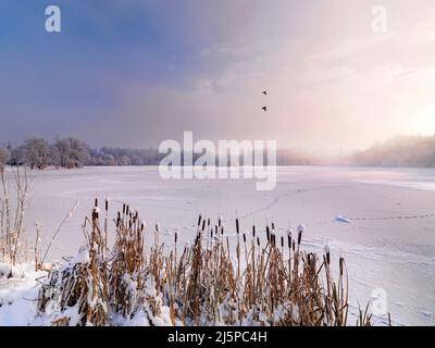 Ein gefrorener Hillsborough Lake, County Down, Nordirland Stockfoto