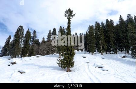 Der Rohtang Pass liegt in Himachal Pradesh, und diese Straße ist ein Tor zu Lahaul Spiti, Pangi und Leh Valley. 18-02-2022 himachal, indien Stockfoto