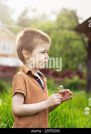 Ein 5-jähriger Junge hält an einem sonnigen Tag im Sommer draußen im Dorf einen Elandelion und blickt von der Kamera weg Stockfoto