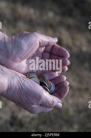 Eine Frau zählt kleines Geld in ihren Händen. Stockfoto