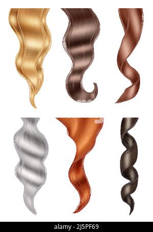 Lockenhaare. Highlights braun und blond üppig lockiges Haar isoliert anständige Vektor realistische Bilder Stock Vektor