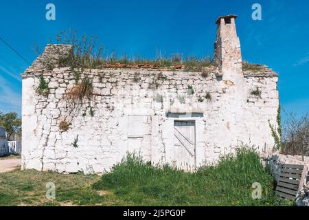 Weißer alter Bauernhof, Finca oder Ferienhaus auf dem Land in Apulien, Italien, Europa, umgeben von Natur Stockfoto