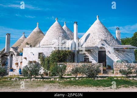 Gruppe von schönen Trulli oder Trullo Haus, traditionelle Apulische Trockensteinhütte mit einem kegelförmigen Dach und alten Trockensteinmauern in Apulien, Italien, mit Pflanzen Stockfoto