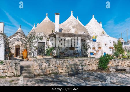 Gruppe von schönen Trulli oder Trullo Haus, traditionelle Apulische Trockensteinhütte mit einem kegelförmigen Dach und alten Trockensteinmauern in Apulien, Italien, mit Pflanzen Stockfoto