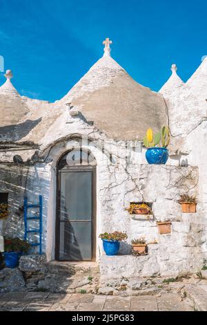 Gruppe von schönen Trulli oder Trullo Haus, traditionelle Apulische Trockensteinhütte mit einem kegelförmigen Dach und alten Trockensteinmauern in Apulien, Italien, mit Pflanzen Stockfoto