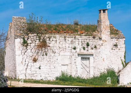 Weißer alter Bauernhof, Finca oder Ferienhaus auf dem Land in Apulien, Italien, Europa, umgeben von Natur Stockfoto