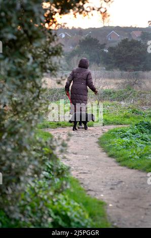 Ältere Frau mit Stick trainierenden Hund über blakeney Sümpfe norfolk england Stockfoto