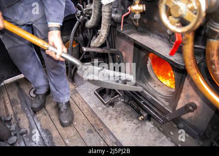 Kent & East Sussex Railway, Tenterden, Kent, Großbritannien. 25. April 2022. Die Zukunft des historischen Dampfsektors im Vereinigten Königreich ist durch die Schließung der Kohlebergwerke des Landes gefährdet, insbesondere der Trockendampfkohle, die in einer Mine in Wales ausschließlich abgebaut wird. Trockene Dampfkohle ist ein halbrauchfreier Brennstoff, der sauberer als Hauskohle verbrennt und in Dampfeisenbahnmaschinen, Zugmaschinen und dampfbetriebenen Schiffen verwendet wird. Importierte Kohle verursacht höhere Umweltbelastungen und wirkt sich durch den Transport aus Kasachstan und Kolumbien auf die Umwelt aus. Es wurde eine Veranstaltung durchgeführt, um das Problem hervorzuheben. Schaufeln von Kohle in eine Feuerstelle Stockfoto