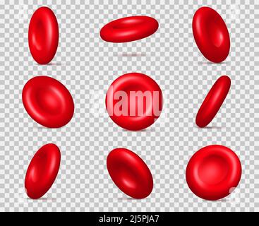 Realistische rote Blutkörperchen. 3D Erythrozytenmoleküle. Mikroskopische Hämoptikel. Unterschiedliche Blickwinkel. Gerinnung und Sauerstofftransport Stock Vektor