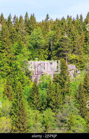 Felswand im Wald Stockfoto