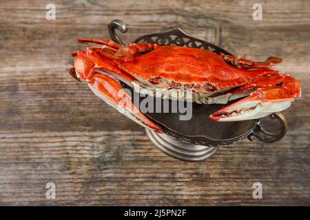 Gedämpfte rote Krabbe auf Holzhintergrund. Meeresfrüchte. Stockfoto