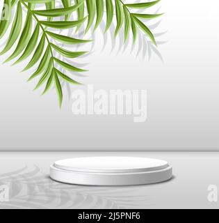 3D realistische Vektor-Schaufenster für Kosmetik und Produkte. Weißes Podium auf grauem Hintergrund mit tropischen Palmen. Stock Vektor