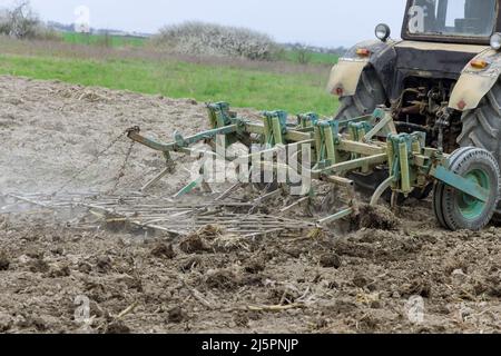 Traktor kultiviert und lockert den Boden auf dem Feld. Stockfoto