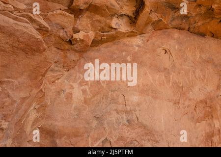 Petroglyphen am Tower Houser Ruin Cliff Behausung im Shash Jaa Unit of the Bears Ears National Monument, Utah. Ein alter 1.000-jähriger tanzt Stockfoto