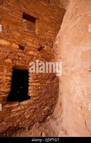 Die Tower Houser Ruin-Klippe im Shash Jaa Unit of the Bears Ears National Monument, Utah. Ein alter 1.000 Jahre alter Ahnenherr Puebloan r Stockfoto