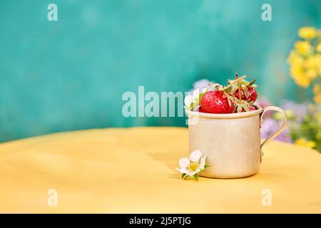 Erdbeeren in einem Reisetasse aus Metall-Aluminium, grüner und gelber Hintergrund. Cottagecore Ästhetik Konzept, trendige Schatten Hintergrund. Speicherplatz kopieren. Hoch Stockfoto