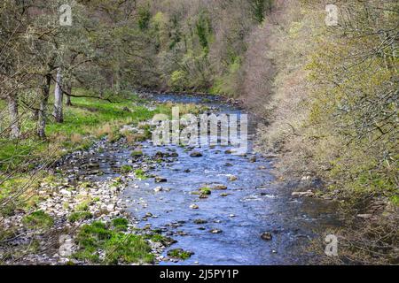 Malerischer Fluss Lowther, Lowther Estate Stockfoto