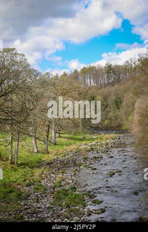 Malerischer Fluss Lowther, Lowther Estate Stockfoto