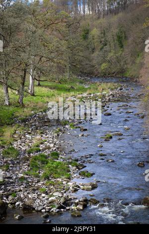 Malerischer Fluss Lowther, Lowther Estate Stockfoto