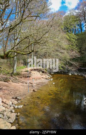 Seilschaukel hängt über dem Fluss Lowther, Lowther Estate. Flussufer und blauer Himmel. Stockfoto