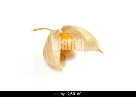 Einzelne peruanische Kirsche mit isolierten Blättern auf weißem Hintergrund. Physalis peruviana Stockfoto