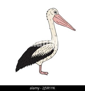 Vektor Hand gezeichnete Doodle Skizze farbigen Pelikan isoliert auf weißem Hintergrund Stock Vektor