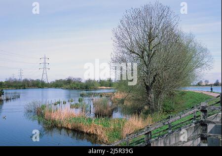 Stauseen in Walthamstow Wetlands im Frühling, Walthamstow, North London, South East England Stockfoto