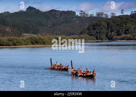 Maori-Krieger paddeln Waka taua (Kriegskanus) in Waitangi Day-Feierlichkeiten in Waitangi verschiedene Māori-Traditionen erzählen, wie ihre Vorfahren sich aufmachen Stockfoto