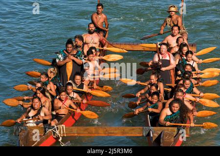 Maori-Krieger paddeln Waka taua (Kriegskanus) in Waitangi Day-Feierlichkeiten in Waitangi verschiedene Māori-Traditionen erzählen, wie ihre Vorfahren sich aufmachen Stockfoto