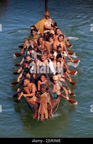 Maori-Krieger paddeln Waka taua (Kriegskanus) in Waitangi Day-Feierlichkeiten in Waitangi verschiedene Māori-Traditionen erzählen, wie ihre Vorfahren sich aufmachen Stockfoto