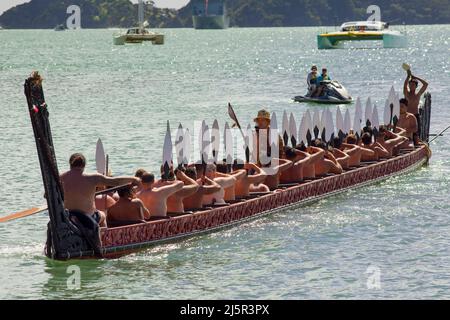 Maori-Krieger paddeln Waka taua (Kriegskanus) in Waitangi Day-Feierlichkeiten in Waitangi verschiedene Māori-Traditionen erzählen, wie ihre Vorfahren sich aufmachen Stockfoto