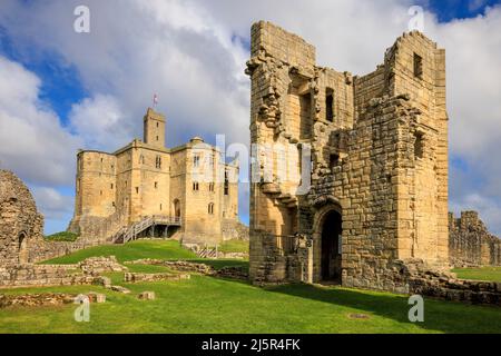 Der Keep und Ruined Lion Tower von Warkworth Castle auf dem Northumberland Coast Path, Northumberland, England Stockfoto