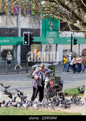 Plymouth, Devon, Großbritannien. 25.. April 2022. Ein sonniger Frühlingstag im Zentrum von Plymouth. Eine Frau füttert die Tauben auf dem Armada Way. Stockfoto