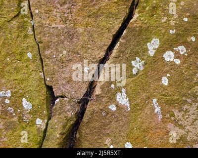 Nahaufnahme von verwittertem Sandsteinfelsen mit Moosen, Flechten und Felsspalten Stockfoto