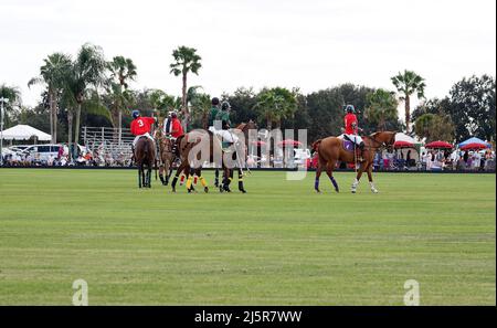 Polo-Spiel; schnelles Tempo; Spiel; Pferde; Menschen; Sport; Pferde laufen, Bewegung, Zuschauer, grünes Gras, Feld, wolkig Himmel, Wettbewerb, Florida; Lakewood Ra Stockfoto