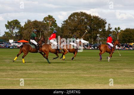 Polo-Spiel; schnelllebig; Spiel; Pferde laufen auf dem Spielfeld; 4 Spieler, Menschen; Sport; Bewegung, Zuschauer, grünes Gras, wolkigen Himmel, Wettbewerb, Florida; See Stockfoto