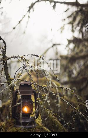 Rustikale alte Öllaterne im Mossy Misty Enchanted Forest Stockfoto