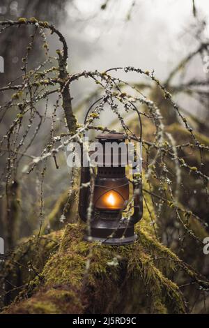 Rustikale alte Öllaterne im Mossy Misty Enchanted Forest Stockfoto