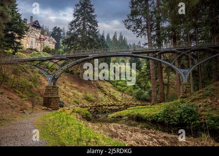 Die Eiserne Fußgängerbrücke über Debden Burn in Cragside im Frühjahr, Northumberland, England Stockfoto