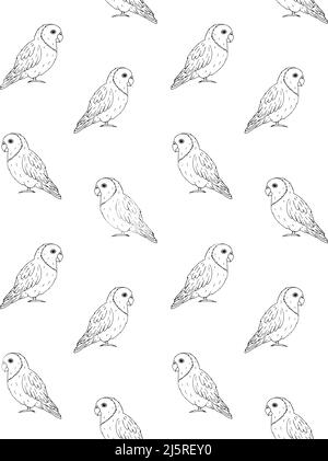 Vektor nahtloses Muster von Hand gezeichneten Doodle Skizze Lovebirds Papageien auf weißem Hintergrund isoliert Stock Vektor