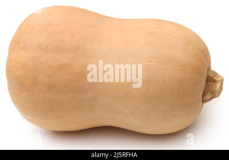 Butternut Squash auf weißem Hintergrund Stockfoto
