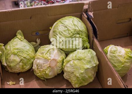 Nahaufnahme des isolierten Weißkohls auf dem Regal im Laden. Gesundes Lebensmittelkonzept. Schweden. Stockfoto
