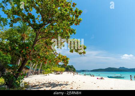 Malcapuya Beach, Coron, Philippinen - 11.11.2019 Stockfoto