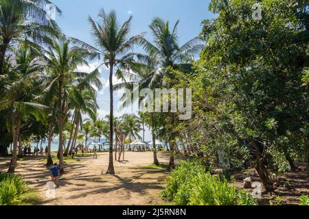 Malcapuya Beach, Coron, Philippinen - 11.11.2019 Stockfoto