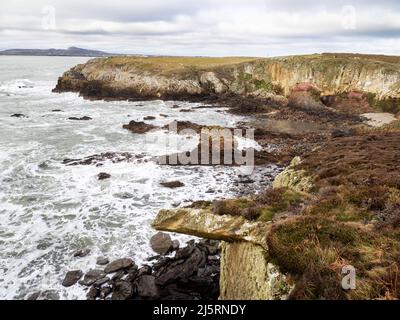 Farbenfrohe, metamorphe Felsen in den Meeresklippen in der Nähe von Trearddur auf Holy Island, Anglesey, Wales, Großbritannien. Stockfoto