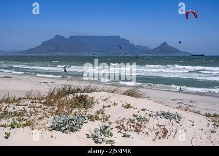 Tafelberg und Kitesurfer am Bloubergstrand an der Atlantikküste der Table Bay in der Nähe von Kapstadt / Kaapstad, Westkap, Südafrika Stockfoto