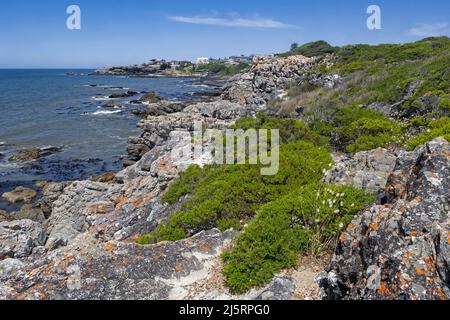 Blick über den Atlantischen Ozean und die felsige Küste entlang des Cliff Path, einem beliebten Wanderweg zur Walbeobachtung in Hermanus, Overberg, Western Cape, Südafrika Stockfoto
