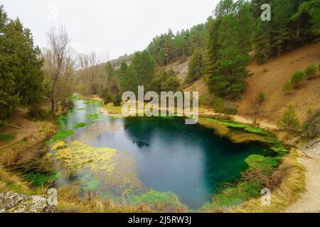 Kleiner See im geheimnisvollen Wald an einem regnerischen Tag mit Nebel, La Fuentona Soria. Stockfoto